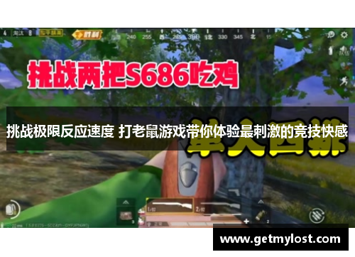 挑战极限反应速度 打老鼠游戏带你体验最刺激的竞技快感